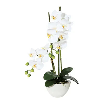 Obrázok produktu pre Umelá kvetina orchidea phalaenopsis 50 cm biela v bielej keramickej miske 14,5 x 8,5 cm Real Touch