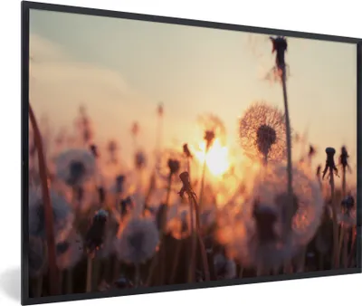 Produktbild von MuchoWow® Gerahmtes Poster Löwenzahn - Sonnenuntergang - Frühling 90x60 cm - Poster mit Schwarzem Bilderrahmen Wandposter Rahmen Foto Bilder - Fotorahmen - Foto-Plakat
