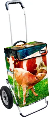 Produktbild von James Einkaufstrolley - MUKULI - stabiler Einkaufswagen mit individuellem Design - einfarbig: grün in Ausführung: Royal-Luftraeder