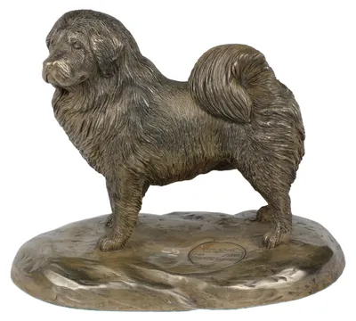 Produktbild von Tibet-Terrier, Tibetan Terrier, Tsang Apso - Hundestatue, Figur für Büro, Trophäe für Hundeausstellung von Art-Dog brand