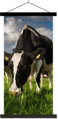 Produktbild von MuchoWow® Textilposter Kühe - Tiere - Gras - Wiese - Bauernhof 60x120 cm mit schwarzem Rahmen - Magnete
