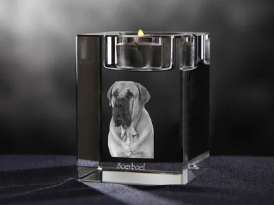 Imagen del producto de Art-Dog Portavelas para vela de té – Boerboel