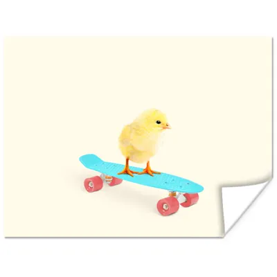 Produktbild von MuchoWow® Poster Küken - Gelb - Skateboard - Blau - Tiere 80x60 cm - Kunst für zu Hause