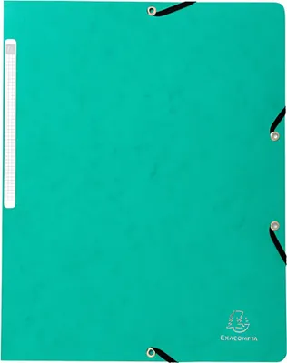 Image de Exacompta 55413E Chemise à rabats en carton manille, format A4, vert