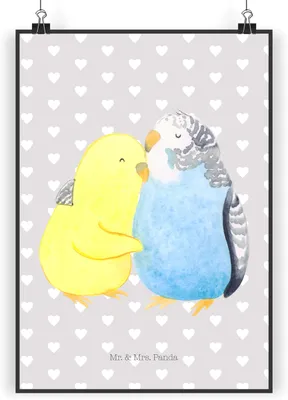 Produktbild von Mr. & Mrs. Panda Bild Wellensittich Liebe DIN A5 - Grau Pastell - Geschenk, Verknallt, glücklich, Freundin, wandkunst, wanddeko, drucke, Vögel, Vertrauen, Wandbild