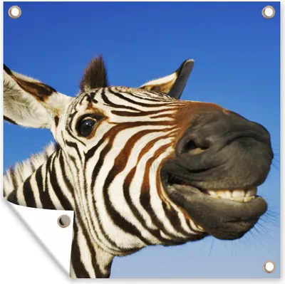 Produktbild von MuchoWow® 100x100 cm Outdoor-Poster Gartendeko Sichtschutz Garten Poster für den Garten  Zebra - Lustig - Kinder - Jungen - Mädchen