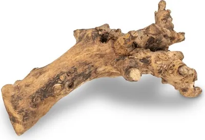A single piece of driftwood is displayed against a white background.