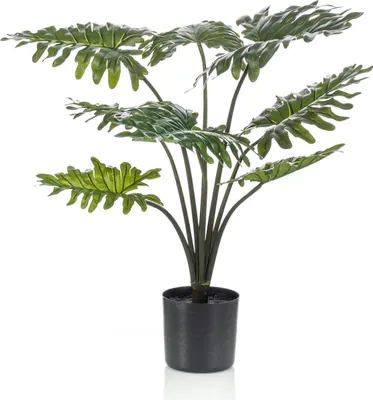 Produktbild von Kunstpflanze Philodendron 60cm Täuschend echt und pflegefrei Kunst-Zimmerpflanze