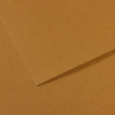 Zdjęcie produktu dla Canson Mi-Teintes A4 Cachou 336 160 g Papier kolorowy