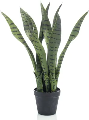 Zdjęcie produktu dla Szmaragdowa sztuczna konopia Sansevieria 55 cm w doniczce