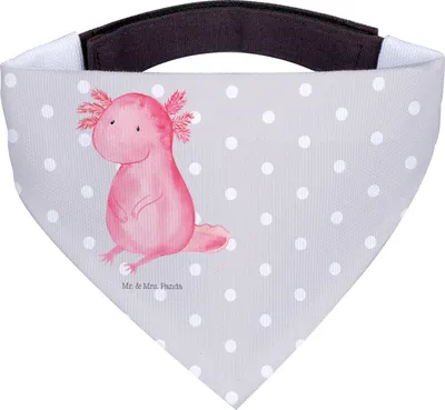 Produktbild von Mr. & Mrs. Panda Hunde Halstuch Axolotl Niedlich - Grau Pastell - Geschenk, Hundeschal, Bandana, Freundin, Lebensweisheit, Dreieckstuch, Lebensstil, Für, Hundehalstuch