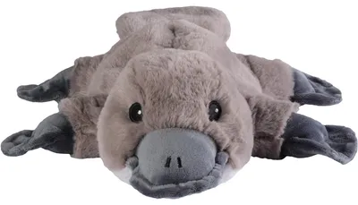 Image de Oiseau à bec Warmies 1 pc