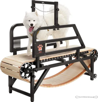 A white dog is on a treadmill designed for dogs.