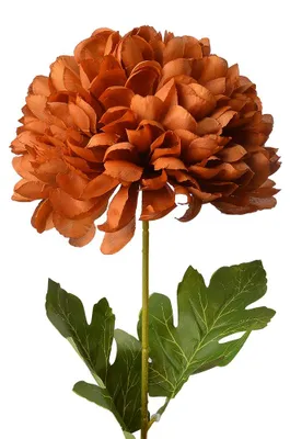 Obrázok produktu pre Clayre & Eef umelý kvet 80 cm hnedý plast
