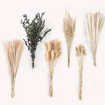 Productafbeelding van Famanu Pampasgras, gedroogde bloemen - 65 stuks, pluizige korenaren voor boho-decoratie