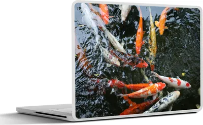 Produktbild von MuchoWow® Laptop Aufkleber Sticker Cover Eine große Gruppe von Koi Karpfen 36.5x27.5 cm - Laptop-Sticker