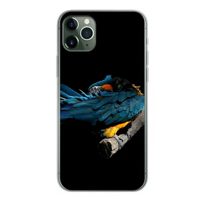 Produktbild von MuchoWow® Handyhülle Schutzhülle Hülle für iPhone 11 Pro Max Vogel - Federn - Zweig - Schwarz Silikon Softcase Handy Hülle - Schutz