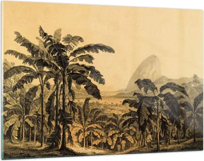 Produktbild von Bilder auf glas - Einteilig - Palmen Wald Regnerisch - 120x80cm - Glasbilder - Wandbilder - Bilder - zum Aufhängen bereit - Wanddekoration aus Glas - Glas Bilder - Wandbild auf Glas - GAA120x80-4983