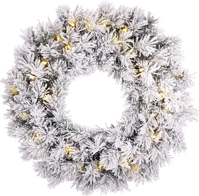Obrázok produktu pre Dinsmore veniec zelený LED matný d60 cm 30L