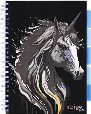 Zdjęcie produktu dla Kołozeszyt A4 100 kartek kratka Unicorn