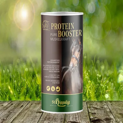 Productafbeelding van St. Hippolyt WES voor paarden - Eiwitverrijker 0,75 kg + Relax Biocare muggenmelk 500 ml