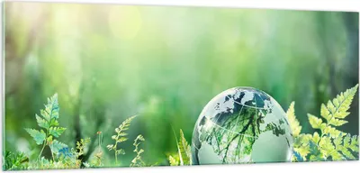 Produktbild von Bilder auf glas - natur natur - 100x40cm - Glasbilder - Wandbilder - Bilder - Kunstdruck - zum Aufhängen bereit - Wanddekoration aus Glas - Glas Bilder - Wandbild auf Glas - Einteilig - GAB100x40-4041