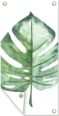 Produktbild von MuchoWow® 40x80 cm Outdoor-Poster Gartendeko Sichtschutz Garten Poster für den Garten  Aquarell - Monstera - Blatt