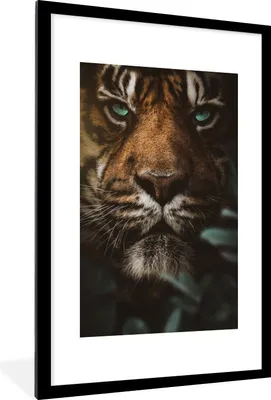 Produktbild von MuchoWow® MuchoWow® Gerahmtes Poster Tiger - Dschungel - Pflanzen 60x90 cm - Poster mit zchwarzem Bilderrahmen - Dekoration - Wandposter Wohnzimmer - Hochwertig