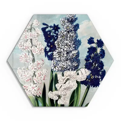 Produktbild von DEQOART Glasbild Echtglas 40x35 cm 'Hyazinthenzauber' Wandbild Bild modern Deko