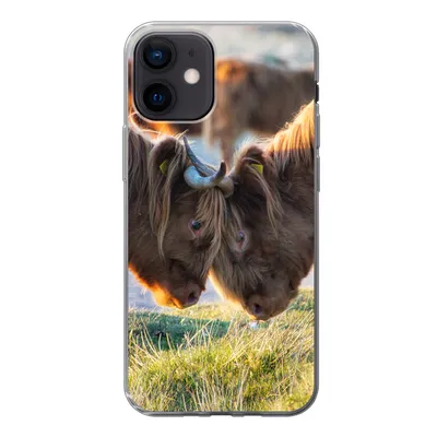 Produktbild von MuchoWow® Handyhülle Schutzhülle Hülle für iPhone 12 Schottische Highlander - Tiere - Sonne Silikon Softcase Handy Hülle - Schutzhülle