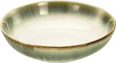 Zdjęcie produktu dla CREATABLE Poke Bowl 22,5 cm grün 4 Stück Verkaufseinheit 900778 4045486239274
