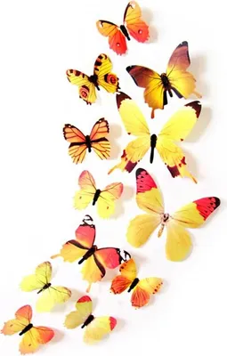 Produktbild von Oblique Unique 3D Schmetterlinge 12er Set für die Wand zum Kleben Wandtattoo Wandsticker Wanddeko - Real gelb