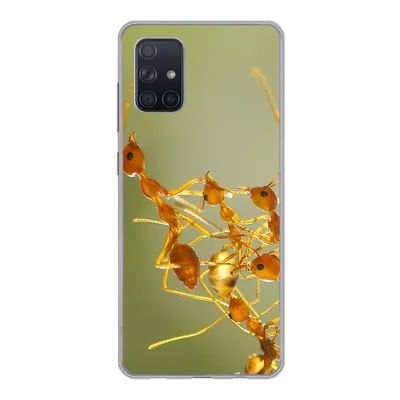 Produktbild von MuchoWow® Handyhülle Schutzhülle Hülle für Samsung Galaxy A51 Ameisen - Orange - Tiere Silikon Softcase Handy Hülle - Schutzabdeckung