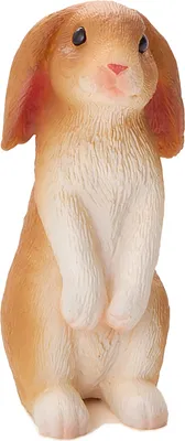 Image de Mojo Ackerland Rabbit 387141