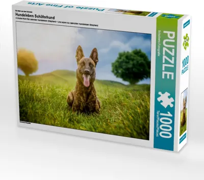 Produktbild von CALVENDO Puzzle Ein Motiv aus dem Kalender Hundeleben Schäferhund | 1000 Teile Lege-Größe 64x48cm Foto-Puzzle für glückliche Stunden