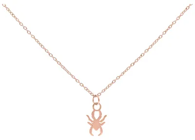 Produktbild von Wildcat Halskette - Little Spider Kette - Roségold - Chirurgenstahl 316L - wasserfest, langlebig, hautverträglich, Roségold