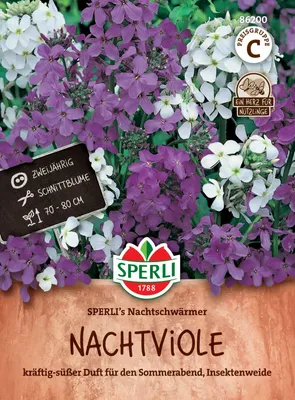 Artikelbild 2 von 'Nachtviole SPERLI's Nachtschwärmer' aus der Kategorie Blumensamen