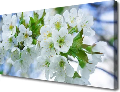 Produktbild von Tulup Leinwand-Bilder 100x50 Wandbild Canvas Kunstdruck Blumen Blätter Pflanzen