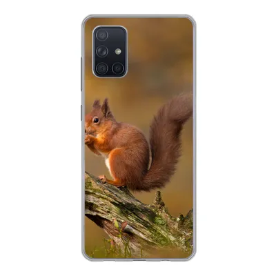 Produktbild von MuchoWow® Handyhülle Schutzhülle Hülle für Samsung Galaxy A51 Eichhörnchen - Baumstamm - Wald Silikon Softcase Handy Hülle - Schutzabdeckung