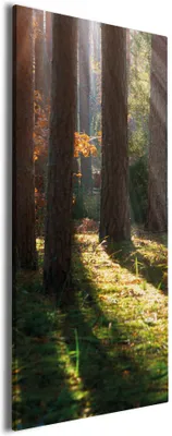 Produktbild von Wallario Premium Leinwandbild Sonnenstrahlen im Herbstwald in Größe 30 x 75 cm