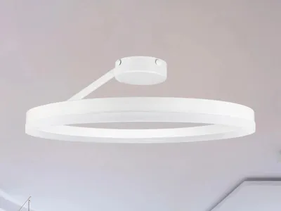 Productafbeelding van LED plafondlamp met afstandsbediening, 40W - TA1313/W