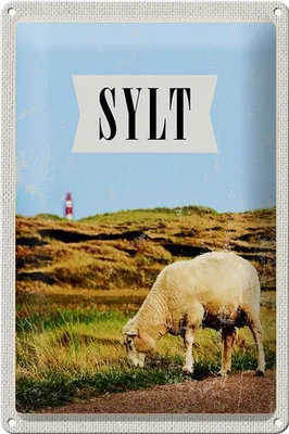 Produktbild von Blechschild Reise 20x30cm Sylt Stadt Urlaubsziel Wiese Urlaub