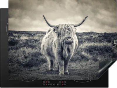 Produktbild von KitchenYeah© Herdabdeckplatte Schottischer Hochländer - Tiere - Wolken - Kuh - Natur , 71x52cm, Küche Deko, Glaskeramikkochfeld Herdabdeckung, Abdeckplatte fùr Kochfeld