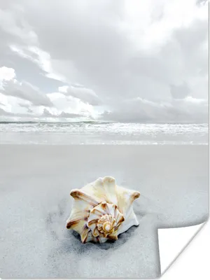 Produktbild von MuchoWow® Poster Muschel - Strand - Himmel 120x160 cm - Wandbilder