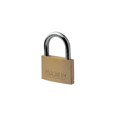 Obrázek produktu pro Visací zámek mosazný 50mm, MASTER LOCK