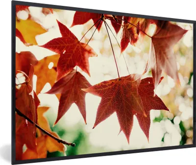 Produktbild von MuchoWow® Gerahmtes Poster Herbstblätter - November - Natur - Bäume 30x20 cm - Poster mit Schwarzem Bilderrahmen Wandposter Rahmen Foto Bilder - Kunstdruck - Bild-Poster