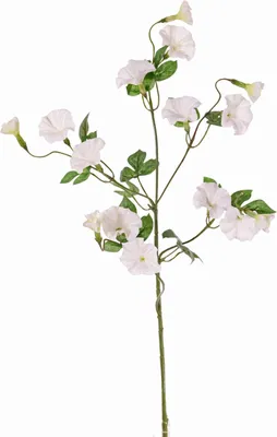 Produktbild von artplants.de Trichterwinde künstlich IORDANIS, weiß, 65cm - Kunst Prunkwinden