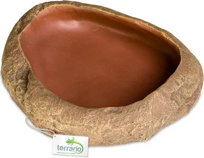 Produktbild von Terrario Rock Oasis L – Terrarien-Schale 17x15x4,5 cm Terrario
