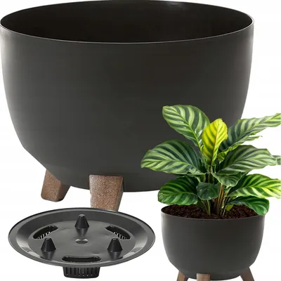 A black planter with a plant inside, and a separate planter insert.
