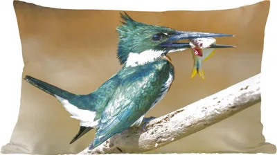 Produktbild von MuchoWow® Zierkissen Sofakissen Wohnzimmer Dekokissen 50x30 cm Vogel - Fisch - Zweig - Wohnzimmerdekoration - Polster mit Photo